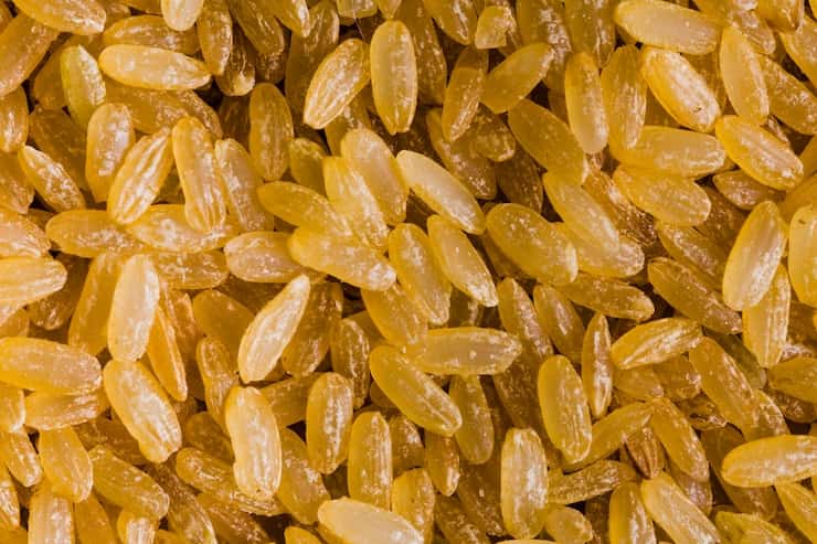 راهنما ی خرید کشمش طلایی درشت + قیمت عالی